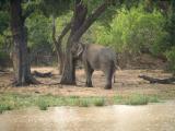 Yala National Park